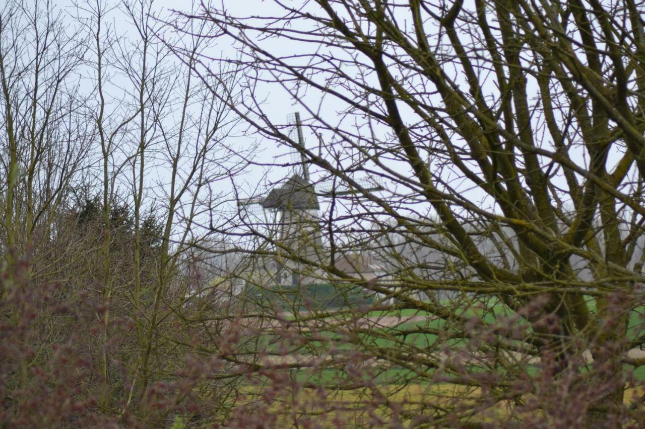 B&B Molenzicht Ninove Luaran gambar